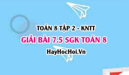 Bài 7.5 SGK Toán 8 Tập 2 Kết nối tri thức